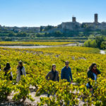 Ruta del Vi de Lleida